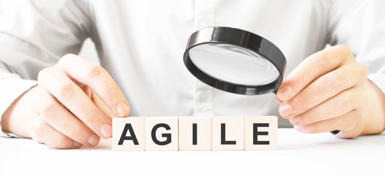 Agile Ceremonies and Artifacts: Unveiling the Essence of Agile Processes